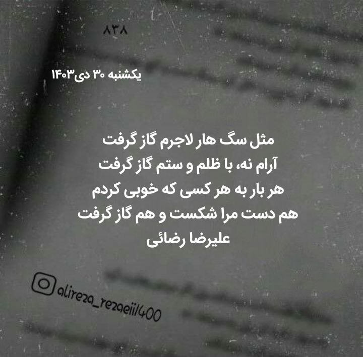 مثل سگ هار لاجرم گاز گرفت