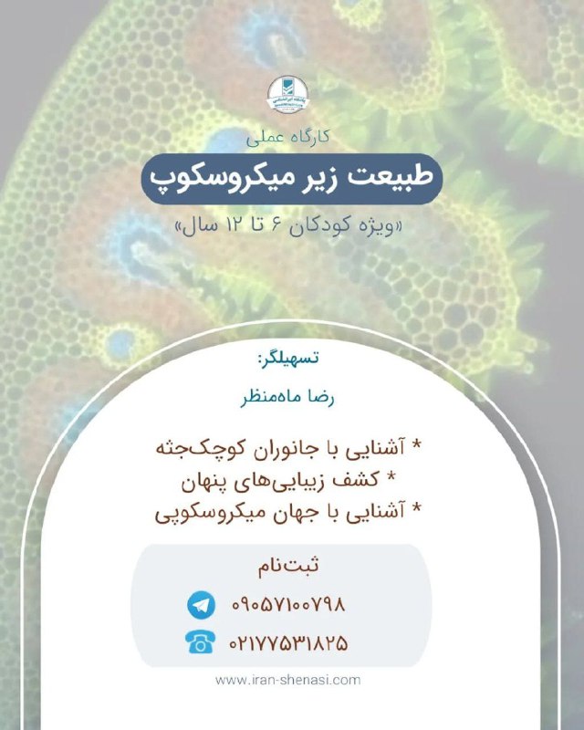 آشنایی کودکان با دنیای شگفت‌انگیز طبیعت، …