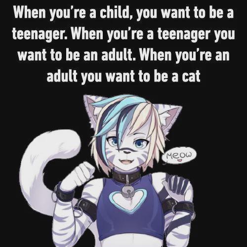 furry***🐱***irl