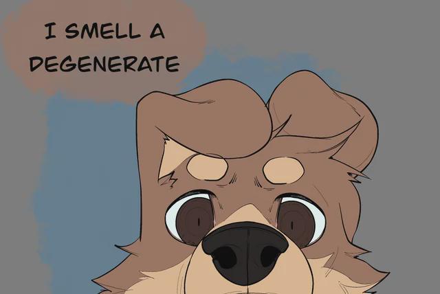 furry***💯***irl