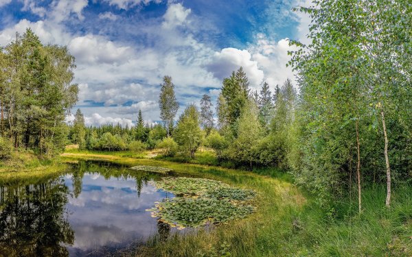 Сегодня отмечается День народного единства ***🇷🇺***