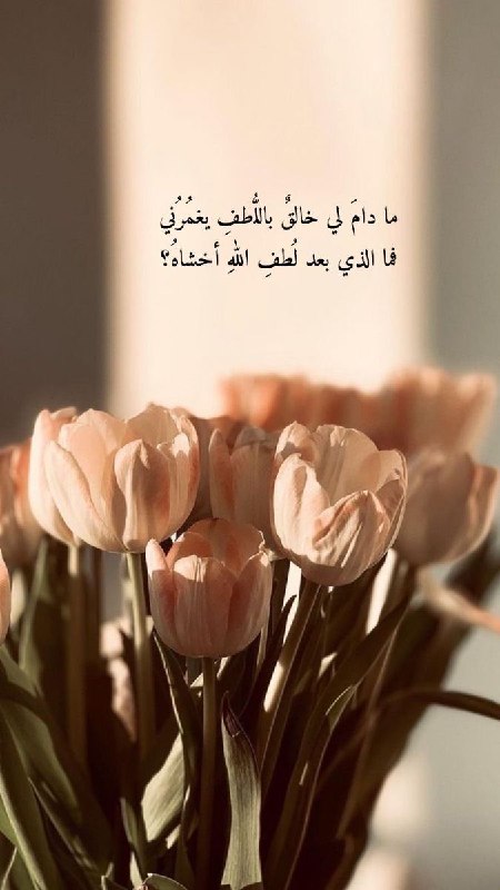 • ﴿ لَا تَحْزَنُوا ﴾.