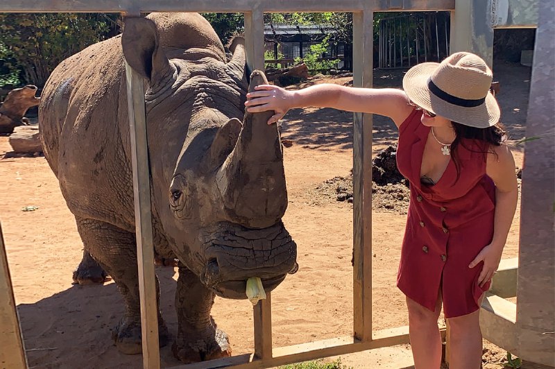Rhino posting 🦏