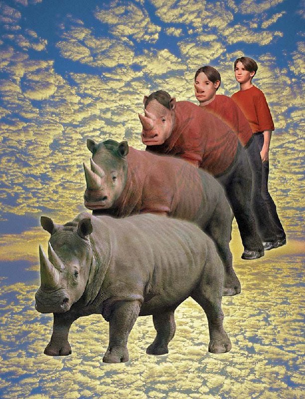 The evolution of [@rhinosixmillion](https://t.me/rhinosixmillion)