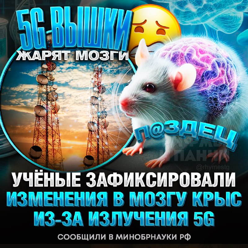 *****‼️***** **ОФИЦИАЛЬНО: 5G ВЫШКИ ЖАРЯТ МОЗГИ** …