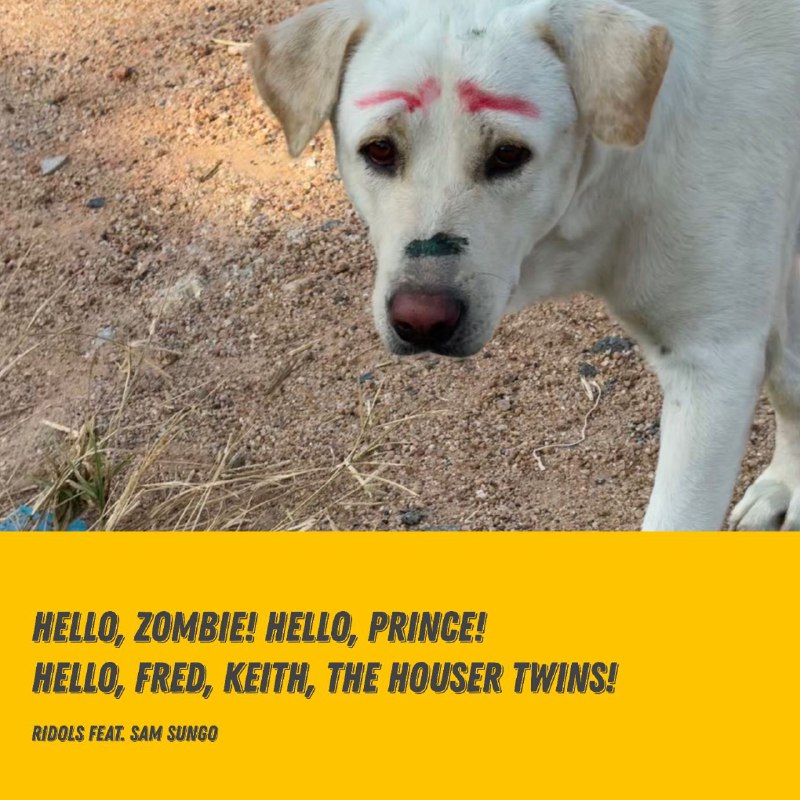 премьера ***🔥***