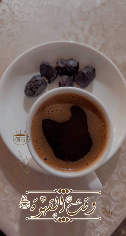 لەگەڵ شیرینی ھەوڵوتێكۆشان لەپێناو شارەزابوون و …