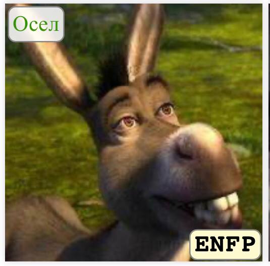 `UPD: Осёл тоже ENFP ахахах (я …