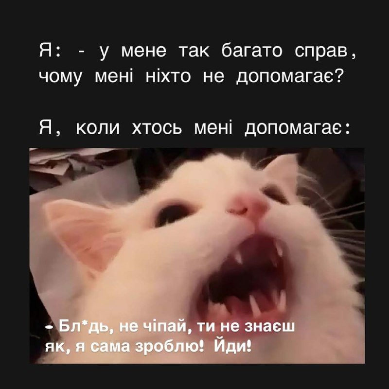 п'ятничний мем