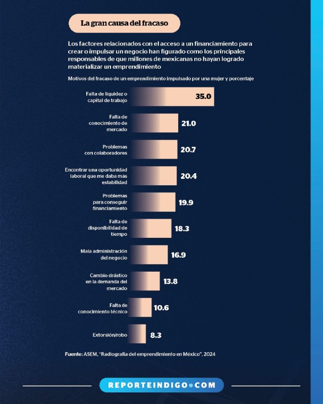 Reporte índigo