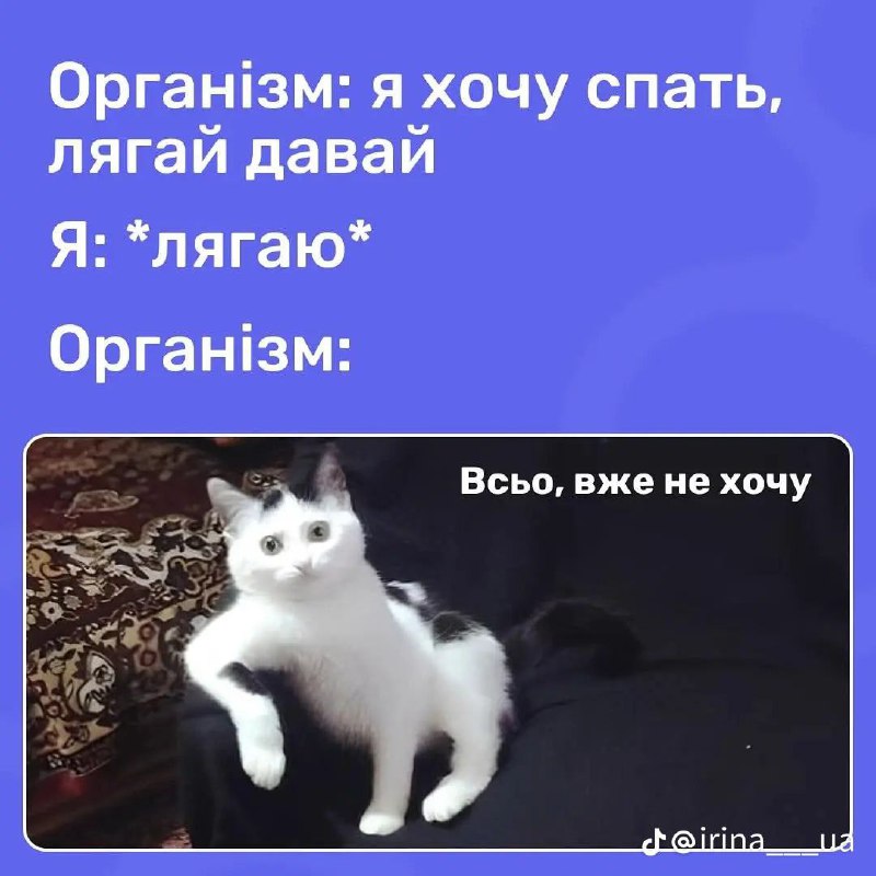 Добрий день ***✨***