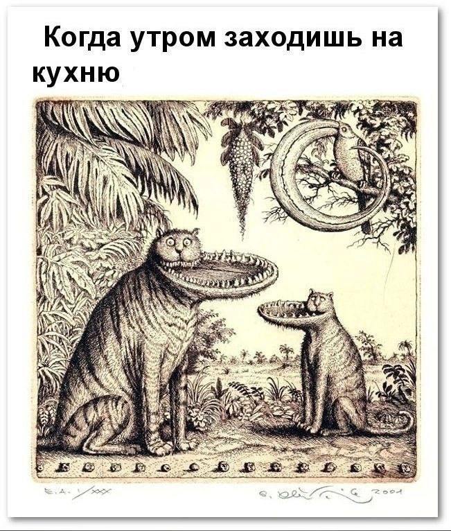 Кладбище Плохих Мемов