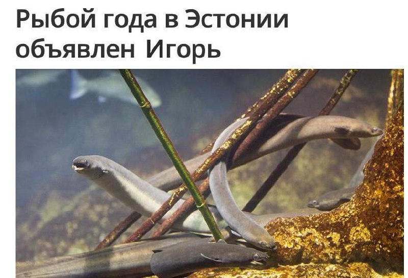 Это наша общая победа