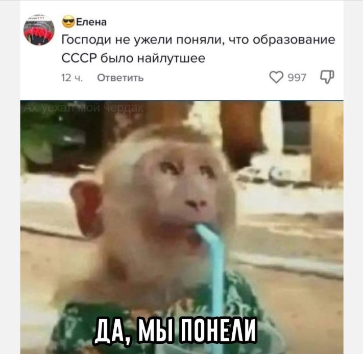 Истинно ***✔️***