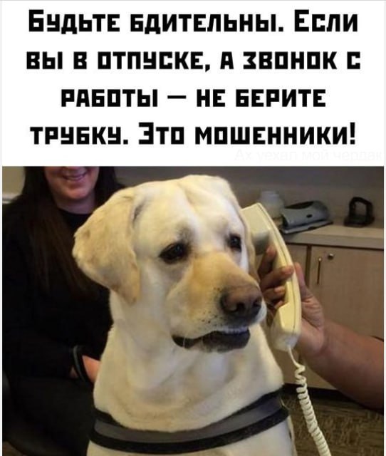 **Не ведитесь ...** ***✔️***