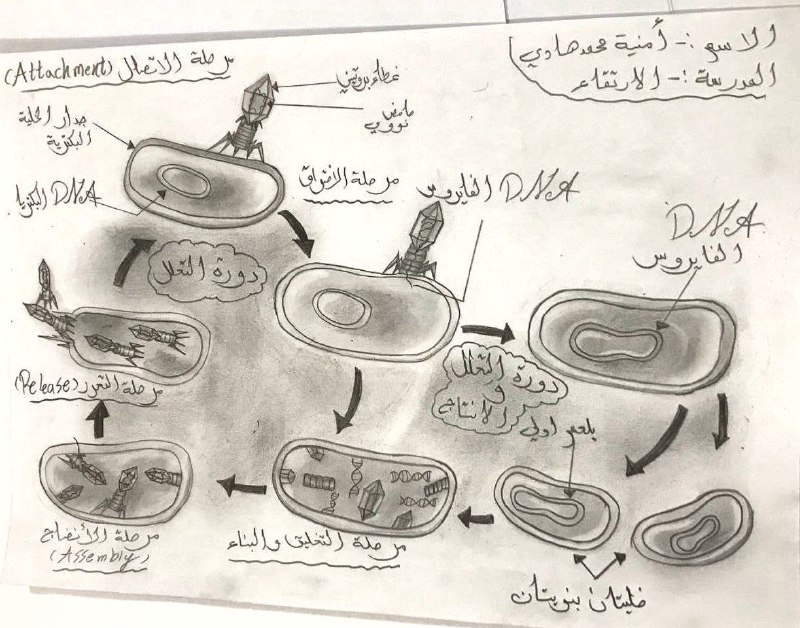 د. رضاء الله مرتضئ الاعظمي- احياء …