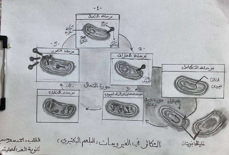 د. رضاء الله مرتضئ الاعظمي- احياء …