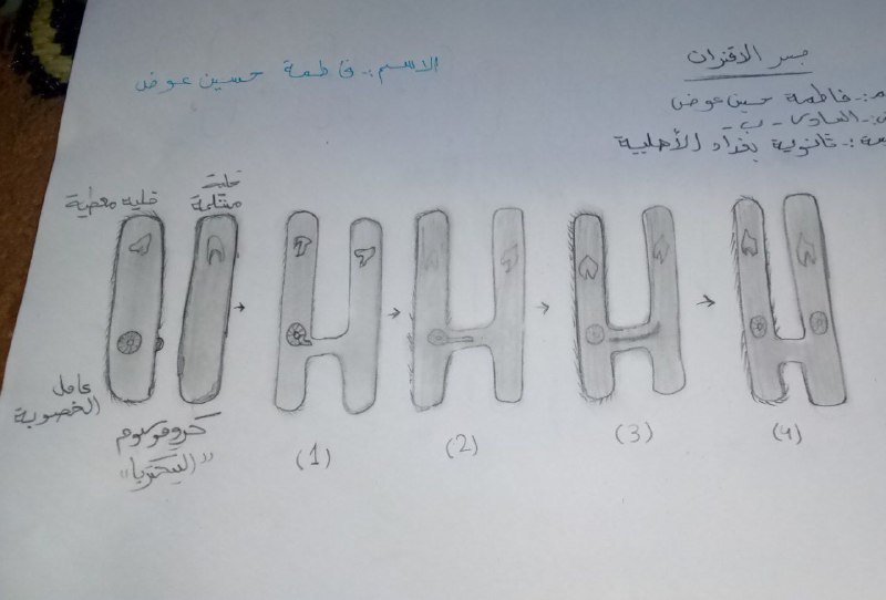 د. رضاء الله مرتضئ الاعظمي- احياء …