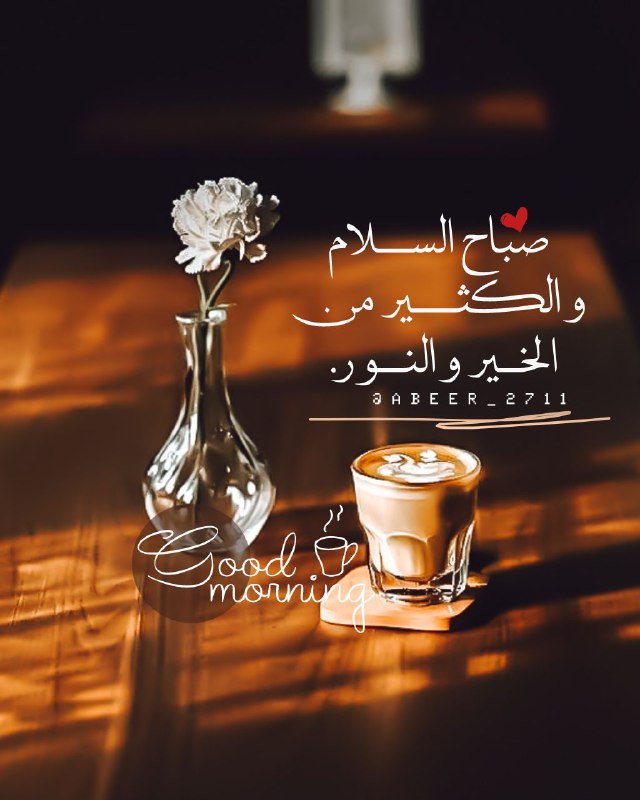 تصاميم فيديوهات?