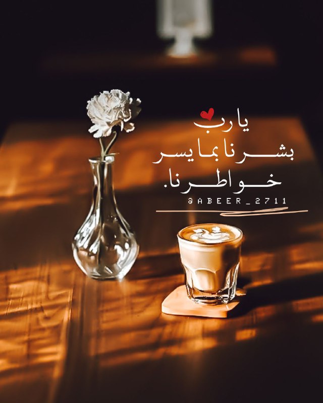 تصاميم فيديوهات?