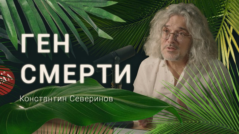 ***🧬*** **Ген смерти. Ген греха. Ген …