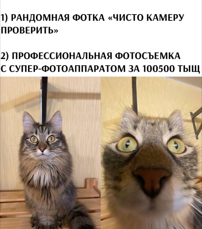 ***Почему так?***