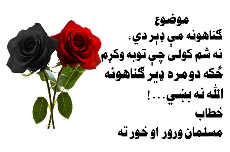 ?Rokhan library ?روښان کتابتون?