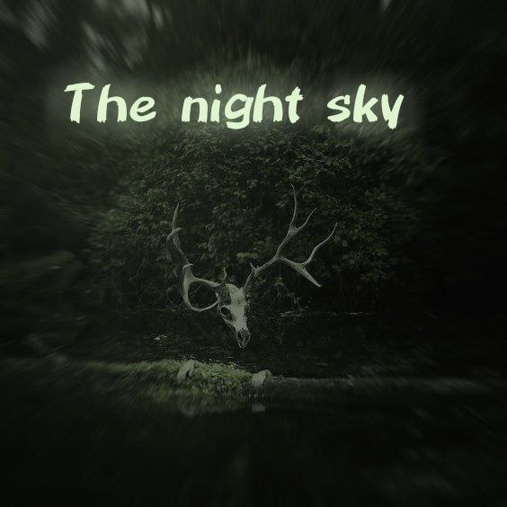 **"The night sky"**