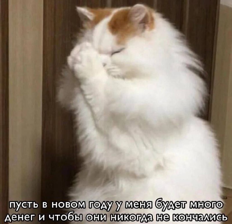 С Новым годом! ***?***