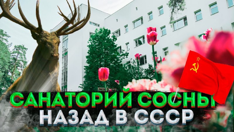 **Снялся** [**в ролике**](https://youtu.be/tY2pACeJfhw?feature=shared) **проекта** [**@moscowwalks**](https://t.me/moscowwalks) **с …