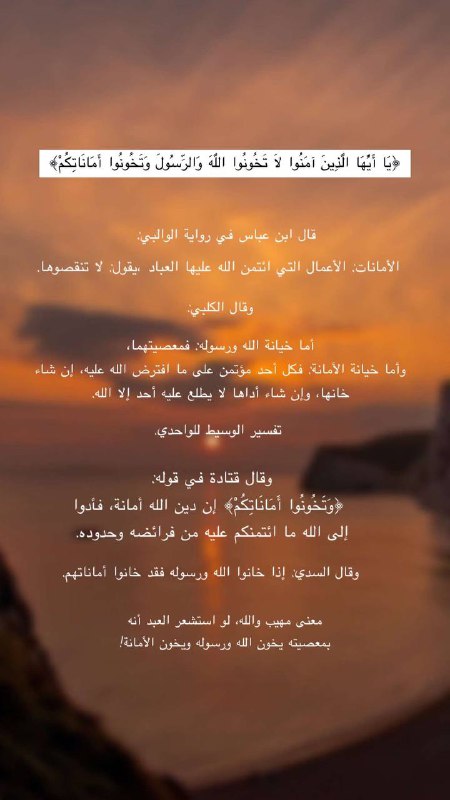 قـناة | رُوَيـدا🪻