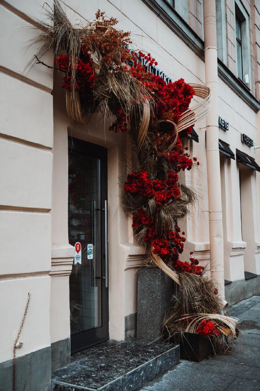 Roots Flowers