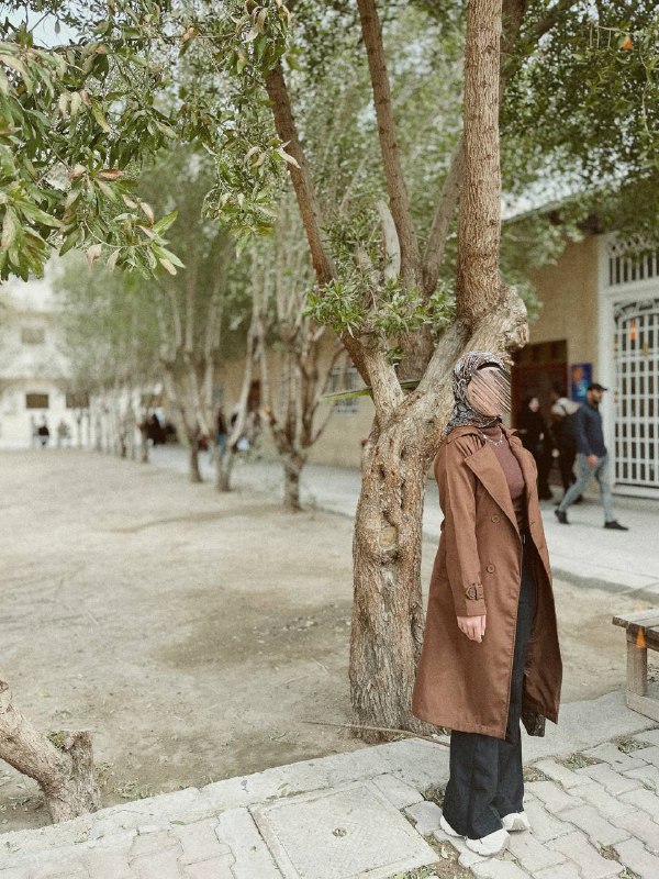 ***🍫******🍩***.