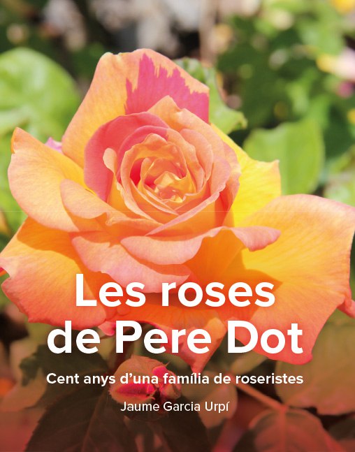 Le rose di Pere Dot