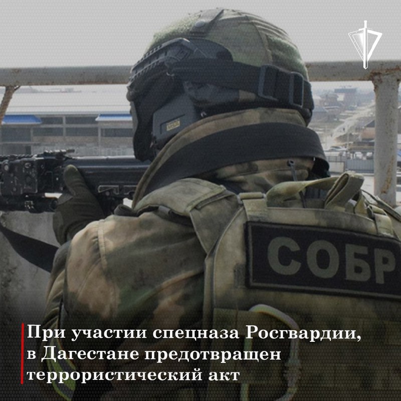 [Росгвардия (VK)](https://vk.com/wall-143136493_54105)