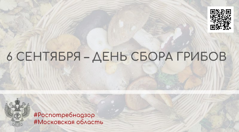 Они никого не оставляют равнодушными! Одни …