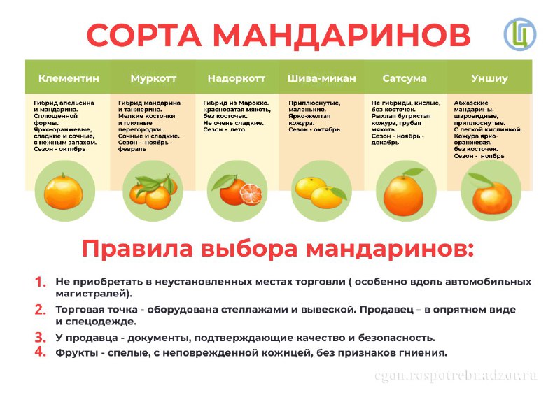 ***🍊*** **Мандарины - самый новогодний фрукт.**