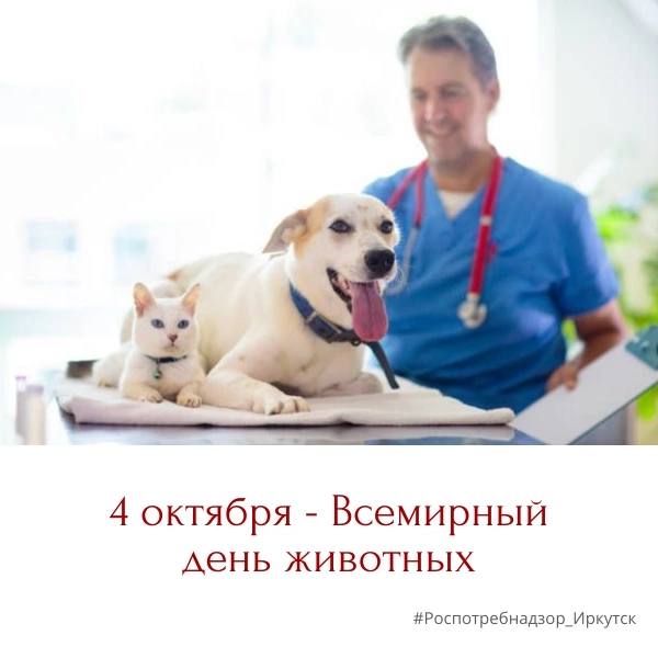 ***🐶*** Доказано, что люди, у которых …