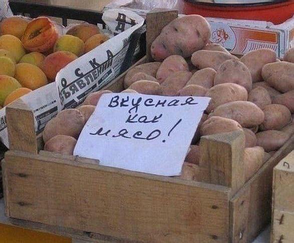 ***🥔*** | [верчение](http://t.me/triteisalrite)