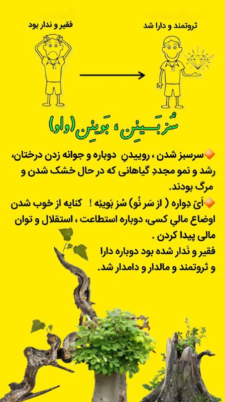 🌻روستاگرد _ وکیلی🌾