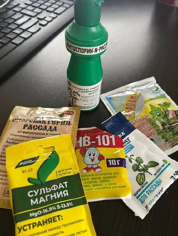 Росток на даче 🌱