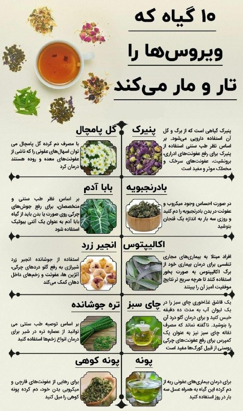 ۱۰ گیاه که ویروس ها را …