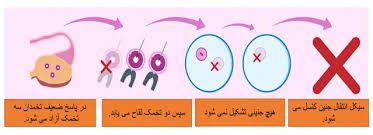**چندین استاندارد برای تشخیص پاسخ ضعیف …