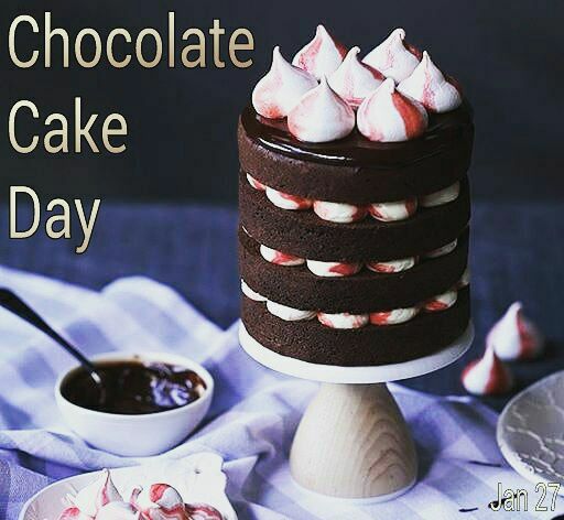 ***🌎***chocolate cake Day***🌍***