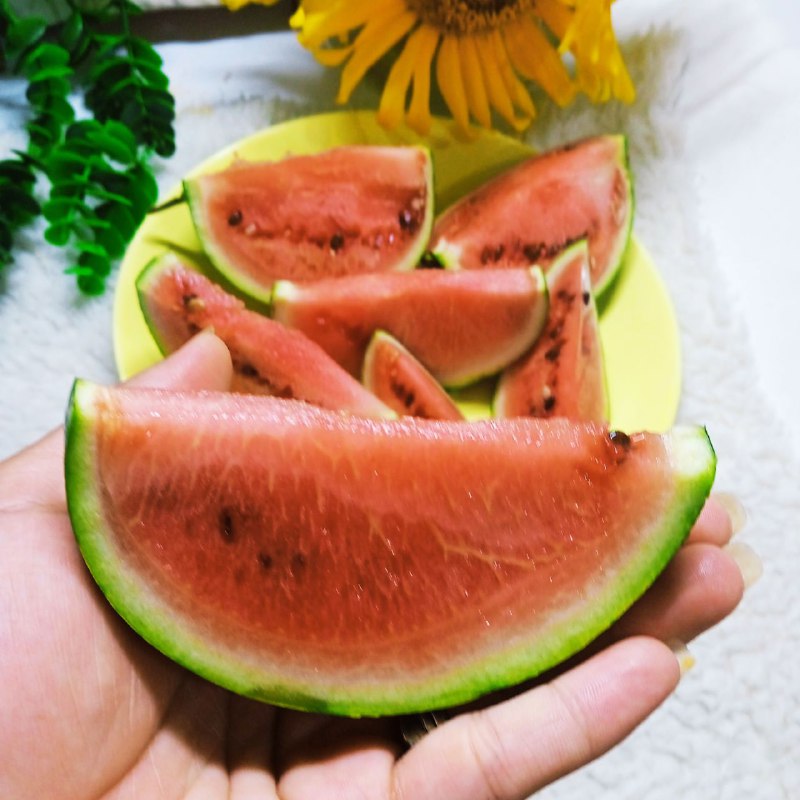 آشپزی روز مرگی و ترفندخانه داری …