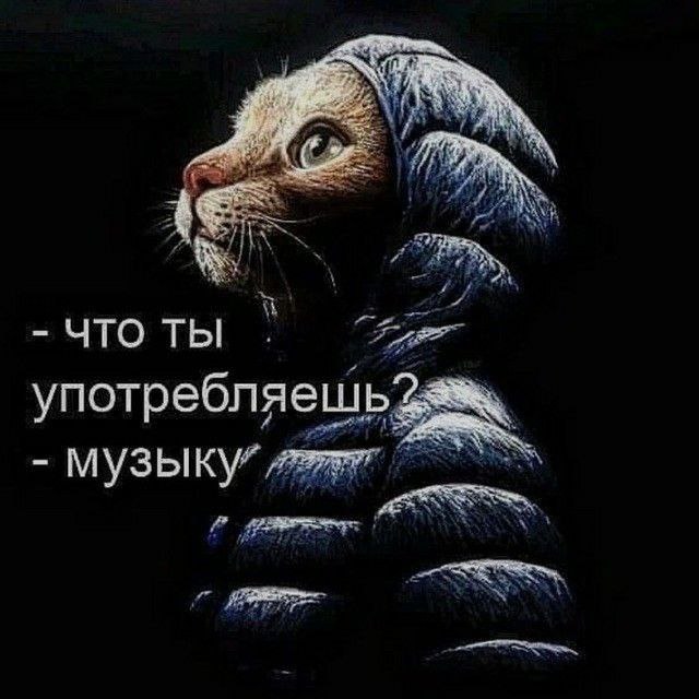[хапуга (чилл трек в ваши тазы)](https://soundcloud.com/hoodtheaape-3/khapugaprod-rrarri-ayogl0ry-1swaggo-tajogi)