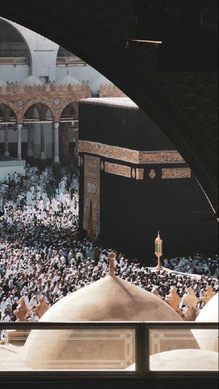 🌻تدبَّر🌻