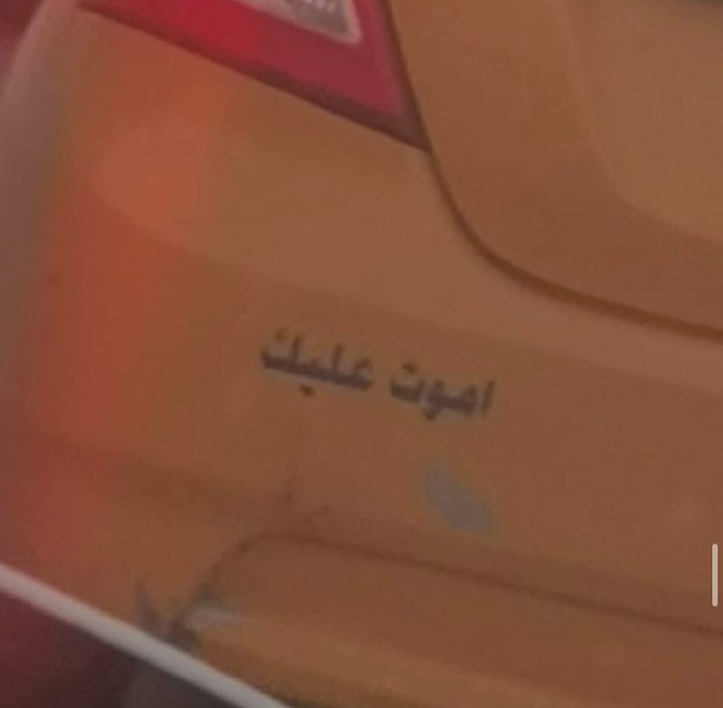 ميمز 🏳