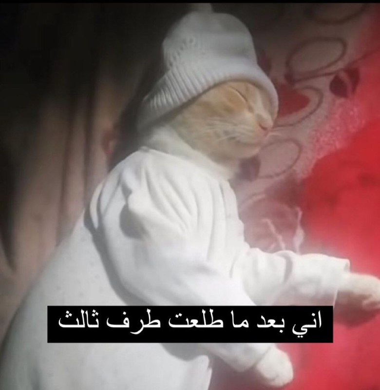 ميمز 🏳