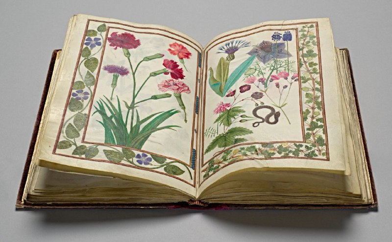 FLORILEGIUM. Франция. 1608